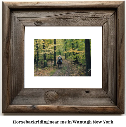 horseback riding near me in Wantagh, New York